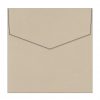 Champers Metallic Invitation Envelopes